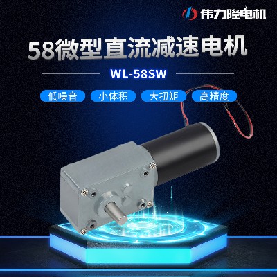 猫砂盆31ZY小马达 6V12V24V蜗轮蜗杆58微型直流电机 微型减速电机