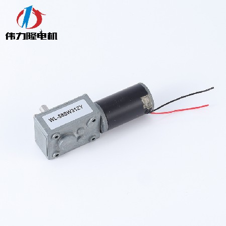 猫砂盆小马达 蜗轮蜗杆微型直流电机医疗设备按摩机器人减速电机