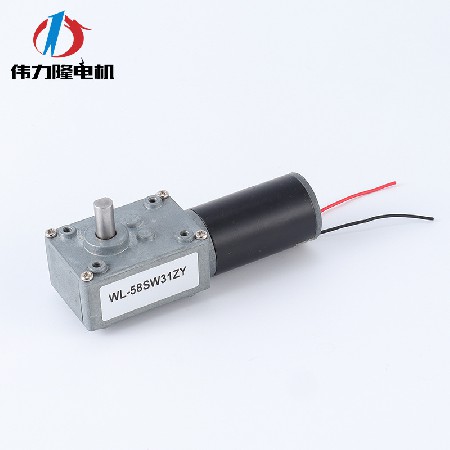 猫砂盆小马达 蜗轮蜗杆微型直流电机医疗设备按摩机器人减速电机