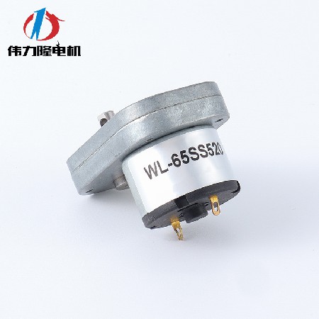 L形微型直流电机 有刷猫砂盆马达蜗轮蜗杆咖啡机减速电机齿轮箱