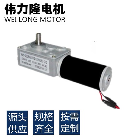 猫砂盆31ZY小马达 6V12V24V蜗轮蜗杆58微型直流电机 微型减速电机